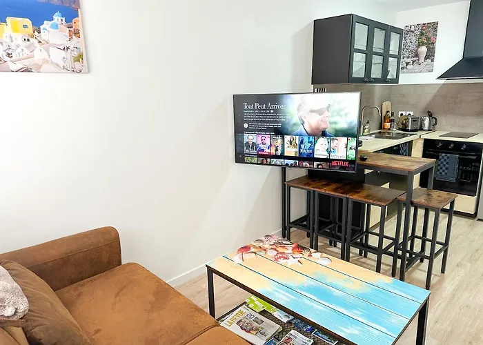 Hôtel accueillant les animaux: Appartements Calmes - Standing - Hypercentre - Clim - Wifi - Netflix