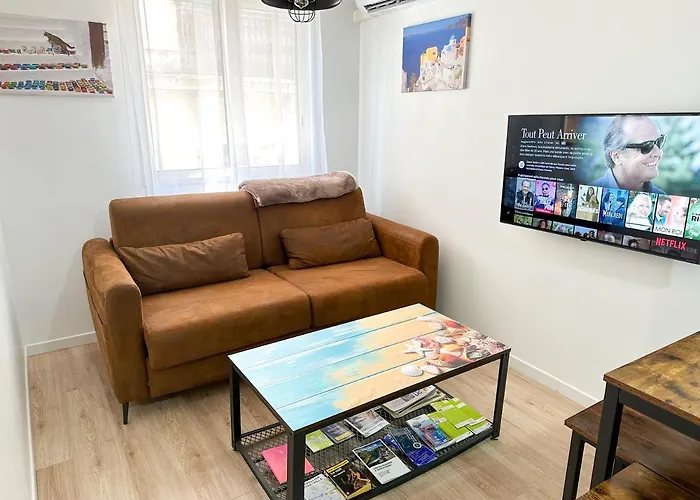 Hôtel accueillant les animaux: Appartements Calmes - Standing - Hypercentre - Clim - Wifi - Netflix