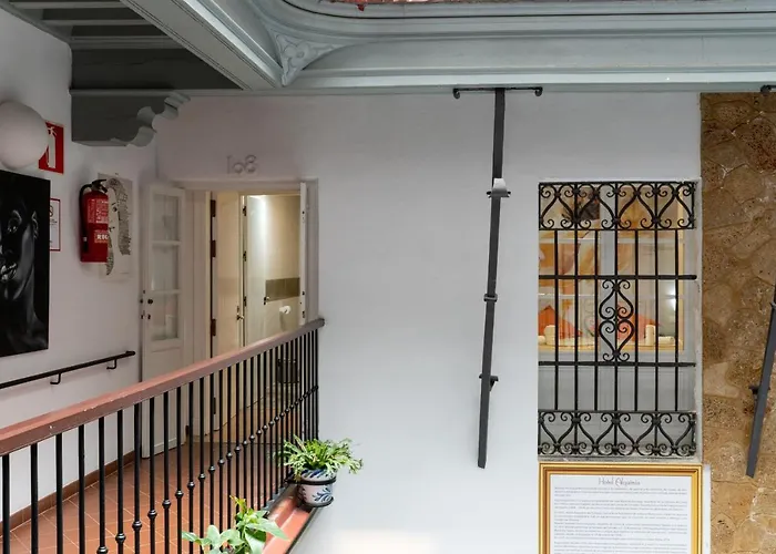 Hotel que admite mascotas: Hotel Alquimia Cadiz