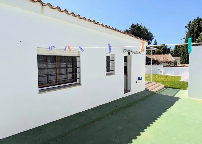 Hotel que admite mascotas: Conil fuente del gallo