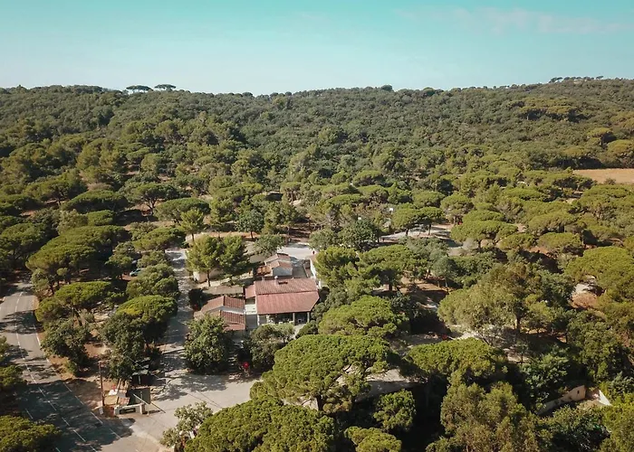 Hôtel accueillant les animaux: Camping Ladouceur