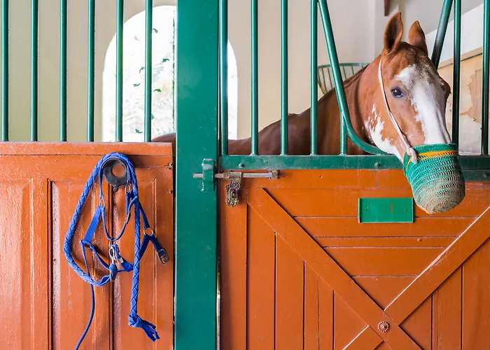 Hotel with Tennis: Melia Desert Palm Member Of Melia Collection