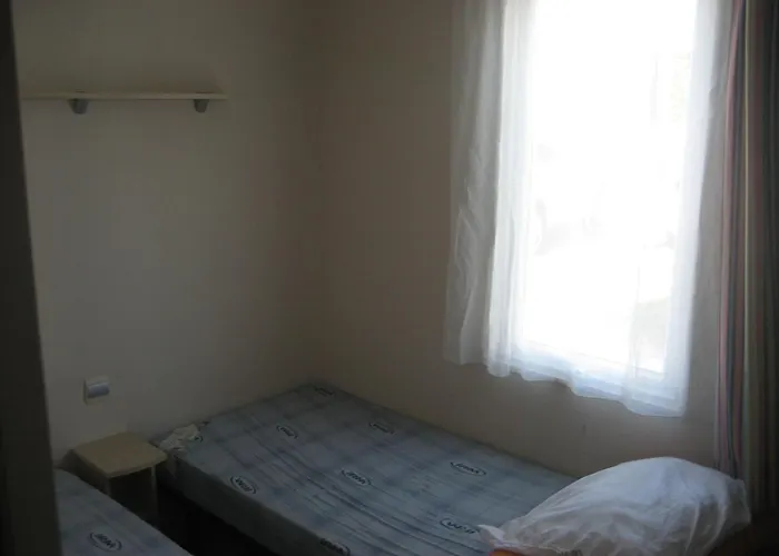 Hôtel accueillant les animaux: Camping le Rochat Belle Isle