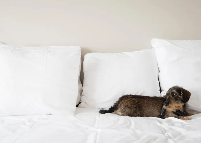 Familienhotel: Hotel De Milliano