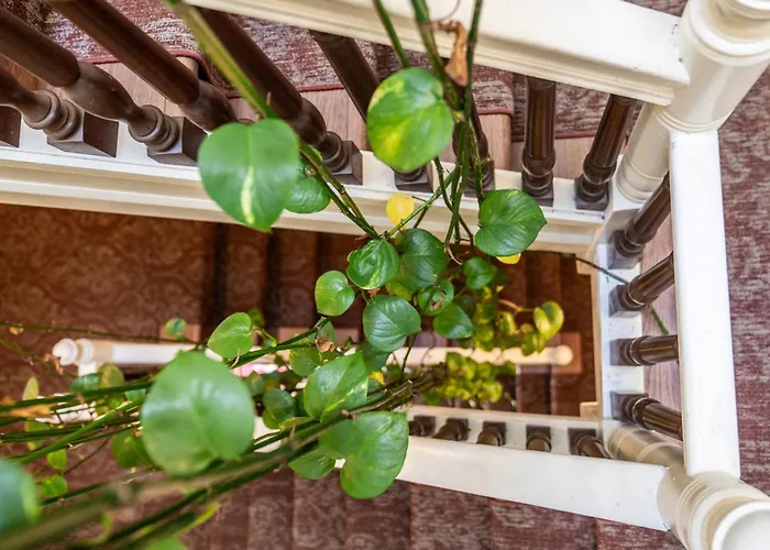 Vacation rental: Oaklands On 9Th