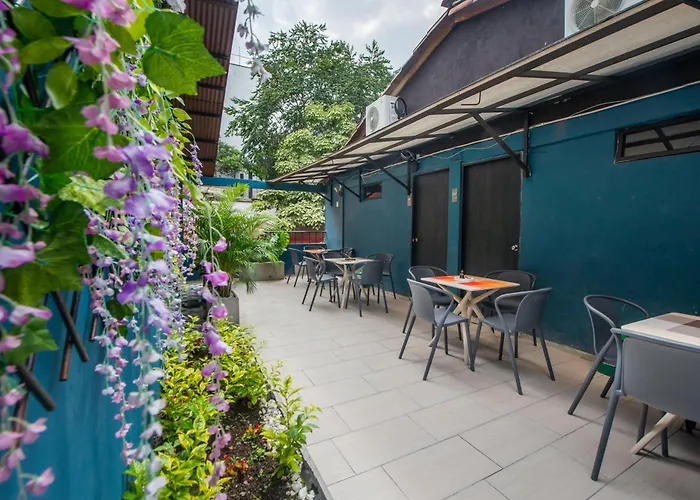 Hotel que admite mascotas: Hotel Bali At Poblado