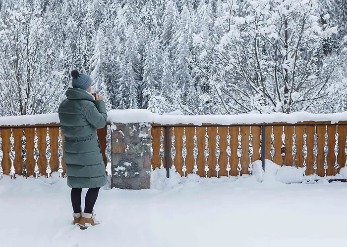 Hotel Chalet du Bon Air Peisey-Nancroix