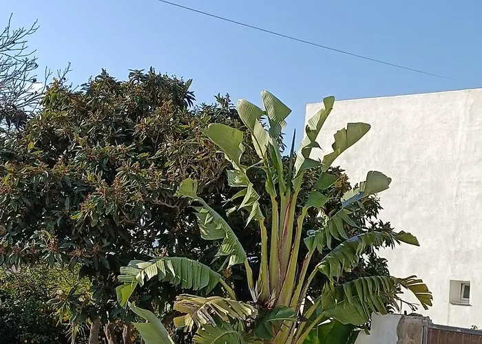 Pueblos blancos