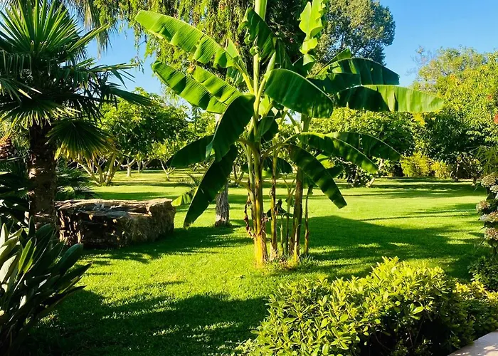 Le Cocoon Lodge Du Gapeau & Massage Solliès-Pont