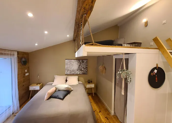 Hôtel accueillant les animaux: Plan B - Chambres & Studios