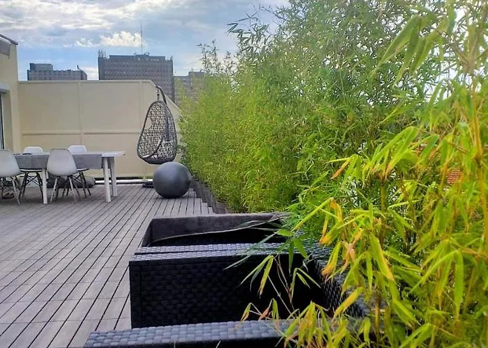 Appartement Attique Strasbourg