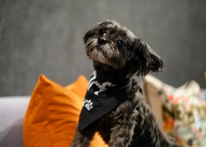 Hotel met uitzicht: Aloft New York Chelsea