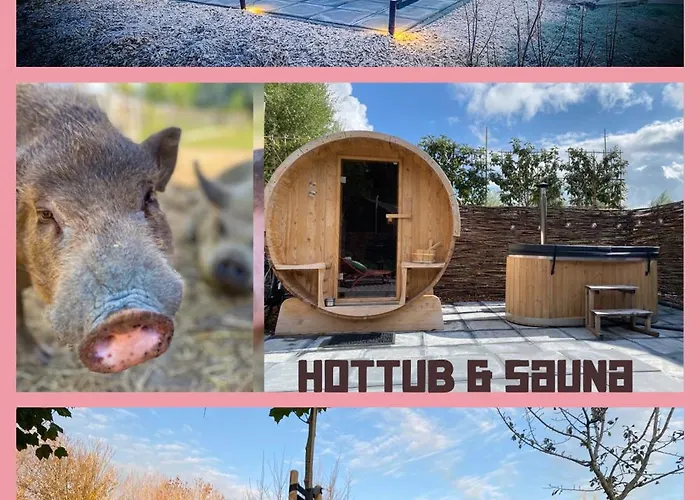Bed & Wellness Klein Knorrestein With Private Hottub And Sauna And Tandembike Rental Included In Price