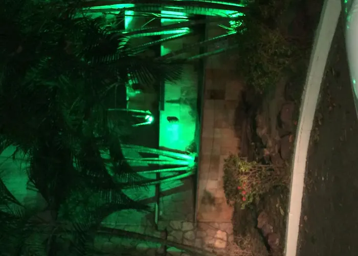 Hotel que aceita animais de estimação: Cassino Motel (Adults Only)