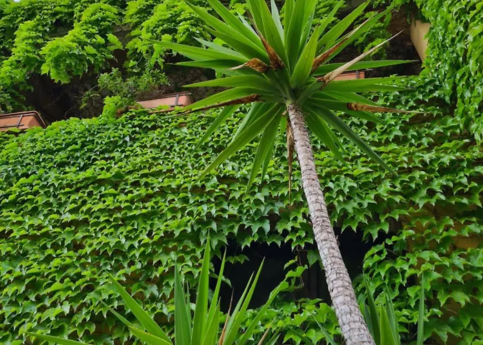 Hotel adatto agli animali: Villa Olga B&B