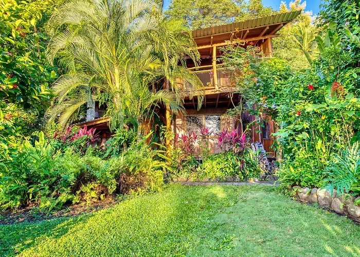 Pet Friendly hotel: Hotel Amor De Mar