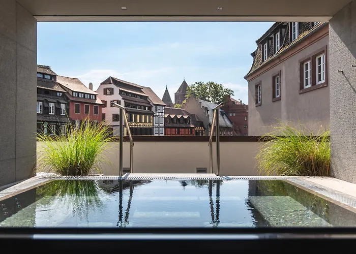 Animaux admis &Spa REGENT PETITE FRANCE