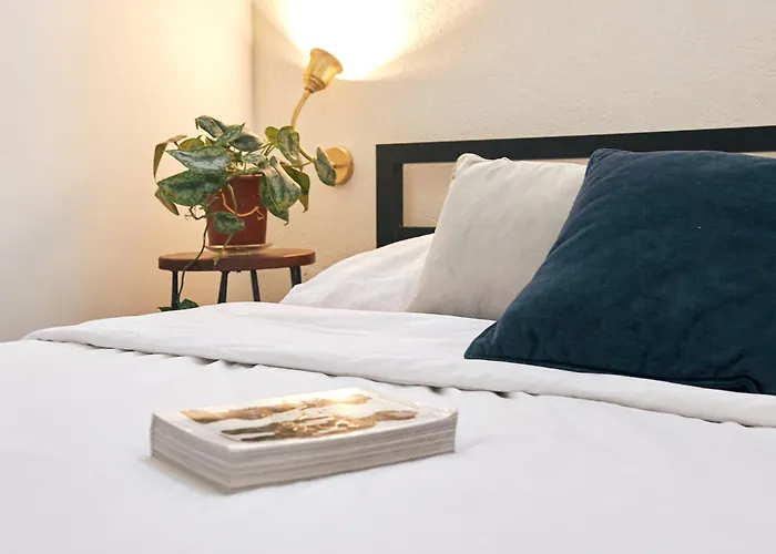 Jungle Jaffa Hostel Age 18 To 45