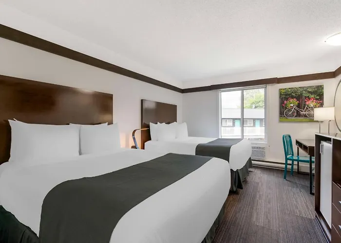 3 star hotel: Stoke Hotel Surestay Collection By Best Western