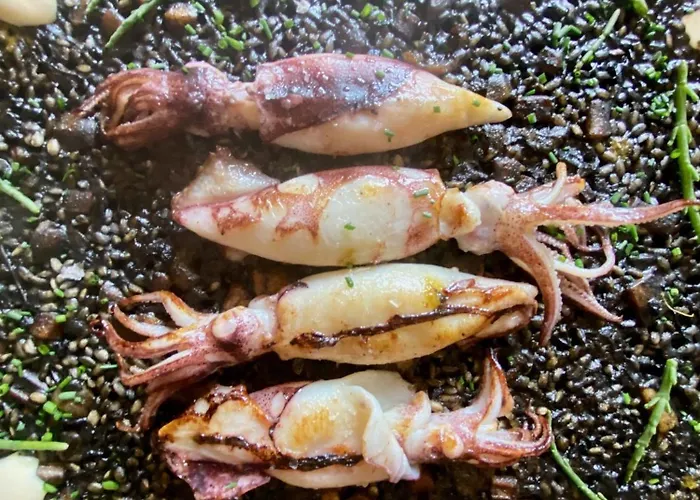  Vijanera