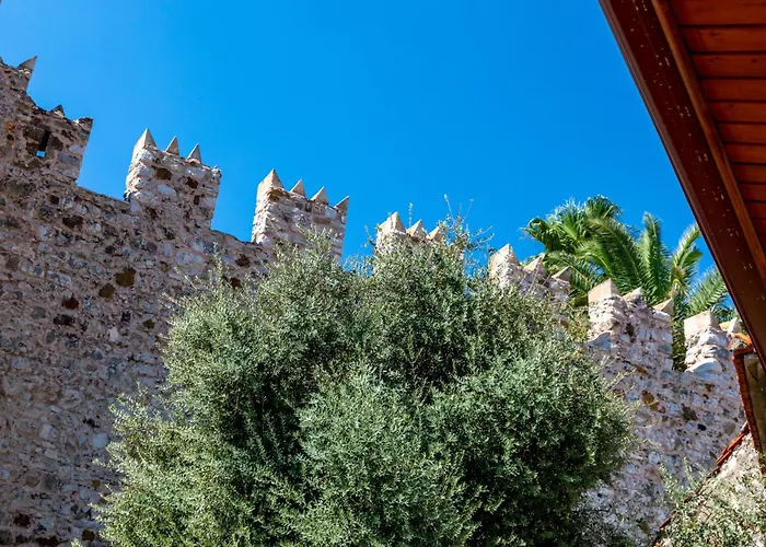 Mustafa Tokalac Castle House