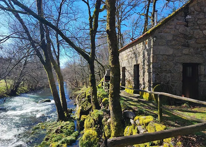 Moinhos do Poço Verde - Nova Gestão