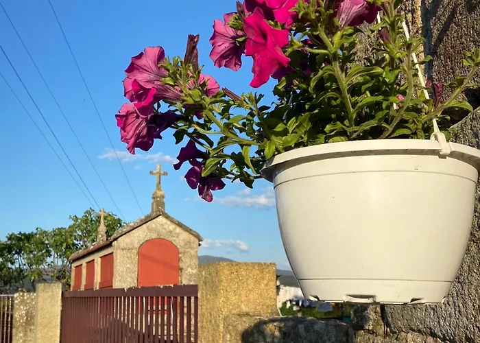 Hotel que admite mascotas: O Eido Da Barreira