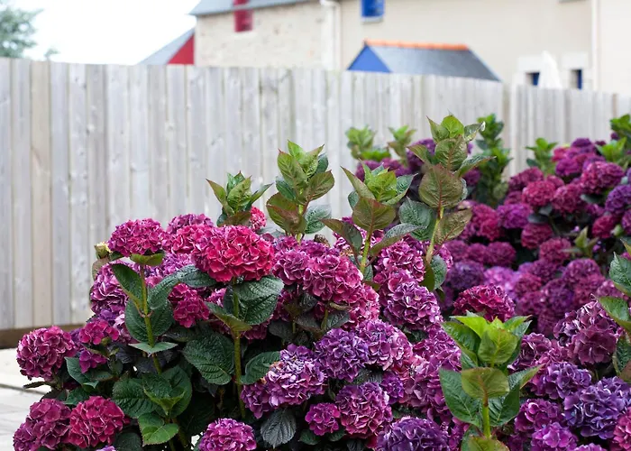 Hôtel accueillant les animaux: Le Village Cancalais