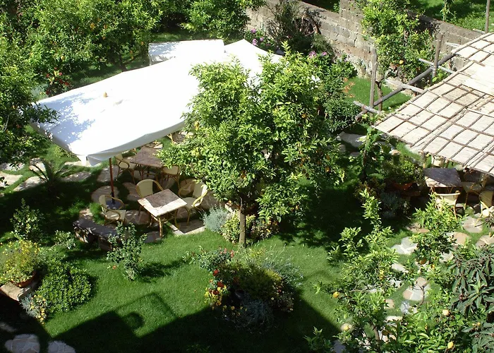 Albergo economico: Il Roseto