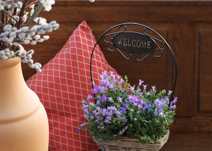 Familienhotel: Hotel Sollner Hof