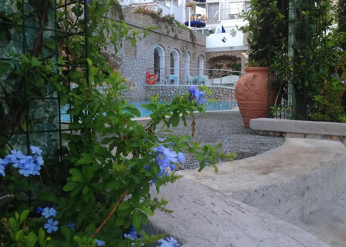 Hotel adatto agli animali: Hotel La Floridiana