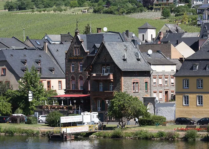 Vier Löwen