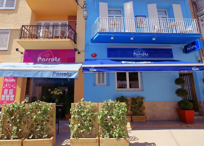 Parrots Sitges