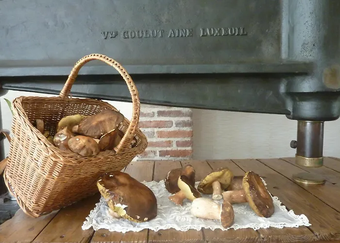 Domaine De La Tannerie Chambres D'Hotes Et Appartements