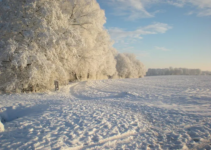 3 sterren hotel: Erve Höwerboer