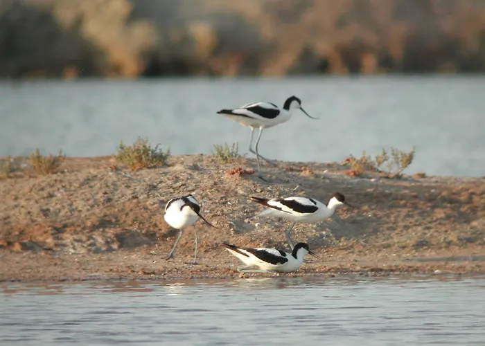 Alojamiento Rural Coto de la Isleta El Puerto de Santa María