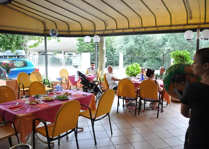 Hotel adatto agli animali: Hotel Orchidea