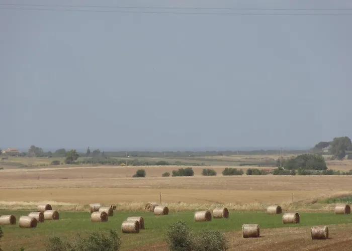 Hotel: Hotel La Torricella