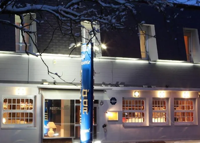 Hôtel accueillant les animaux: L'Etoile d'Or