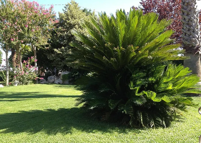 Cabina: Masseria Casale Dei Fornici