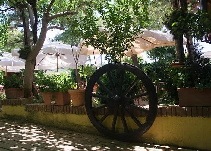 Hotel sulla spiaggia: Hotel Ristorante Solari