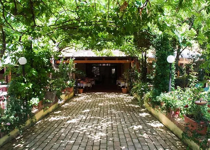 Hotel sulla spiaggia: Hotel Ristorante Solari