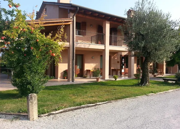 Hotel adatto agli animali: Agriturismo Morgan