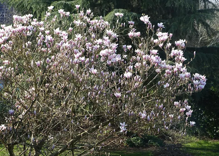 Hôtel bon marché: Les Prunelliers