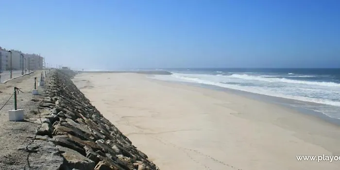  Vagos