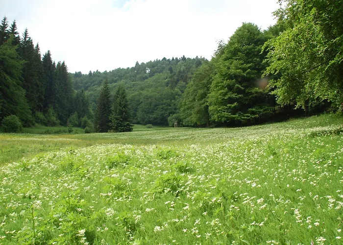 Gasthof 'Zum Reifberg' Ilmenau