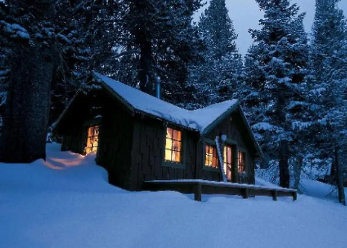 Pet Friendly hotel: Tamarack Lodge