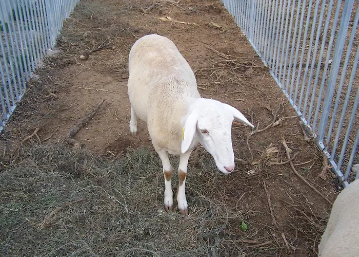 Centro de Agroecologia y Medio Ambiente de Murcia Bullas
