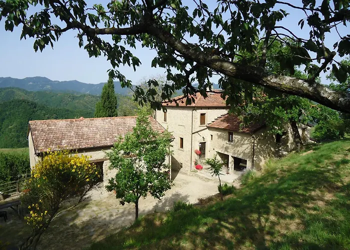 Agriturismo I Monti di Salecchio Palazzuolo Sul Senio