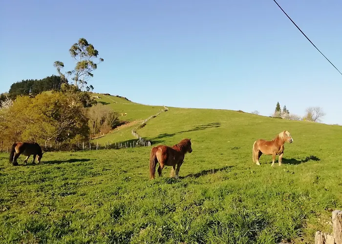 Chalet: Agroturismo Pagoederraga